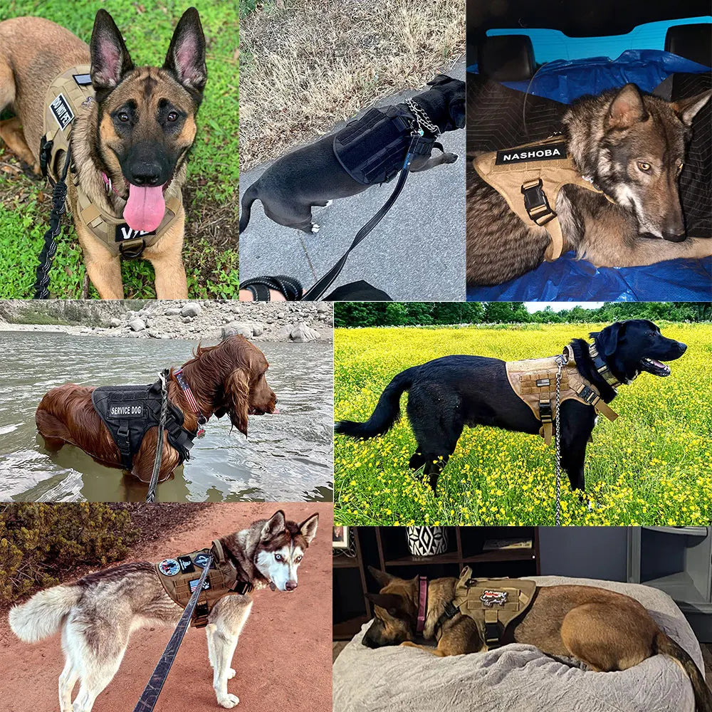 PetTravel Military Dog Harness Vest Set For Malinois Training
